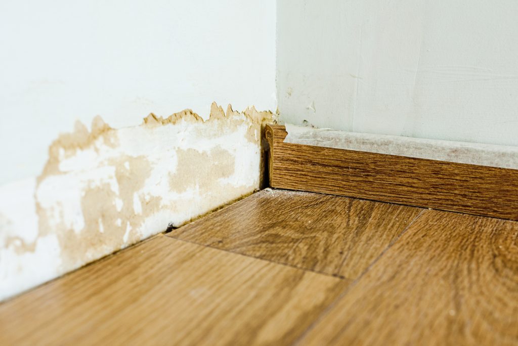 The lower corner of a wall showing water damage and discoloration